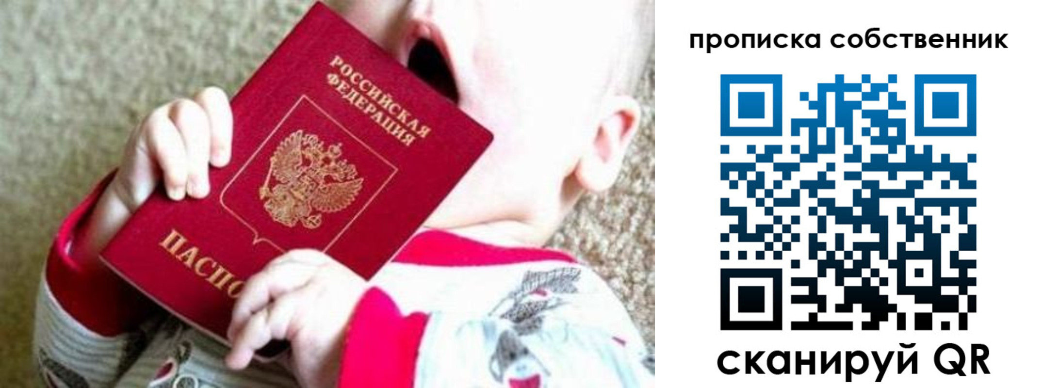 прописка для школы в Домодедово